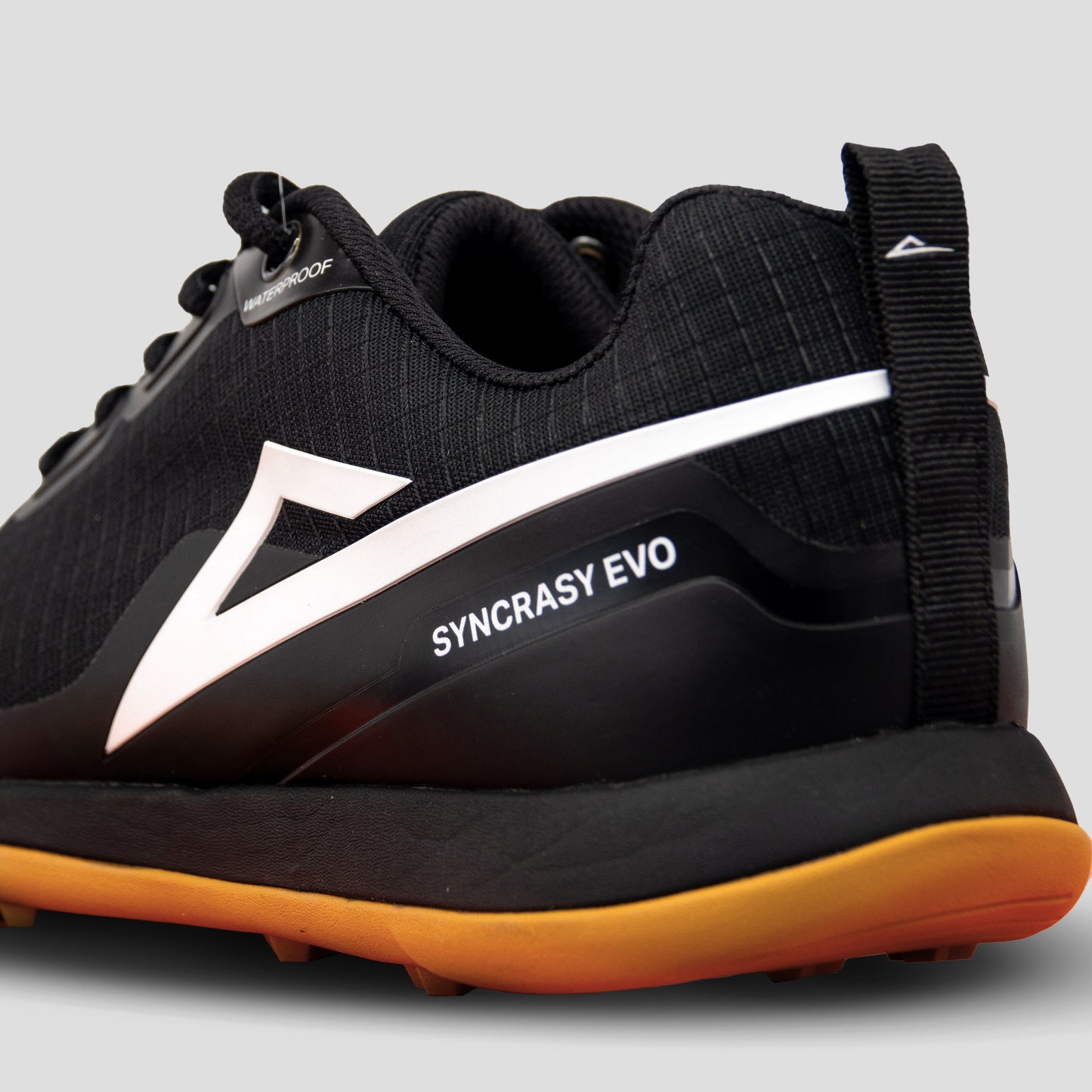 2025 Syncrasy EVO