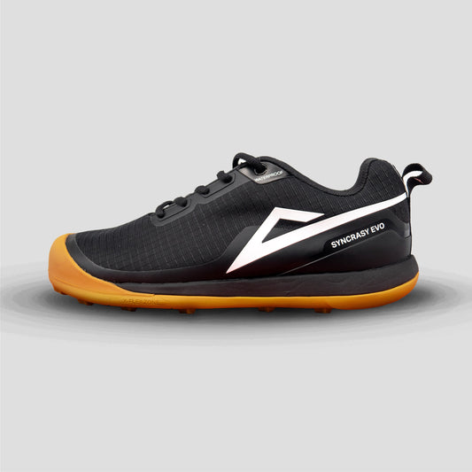 2025 Syncrasy EVO