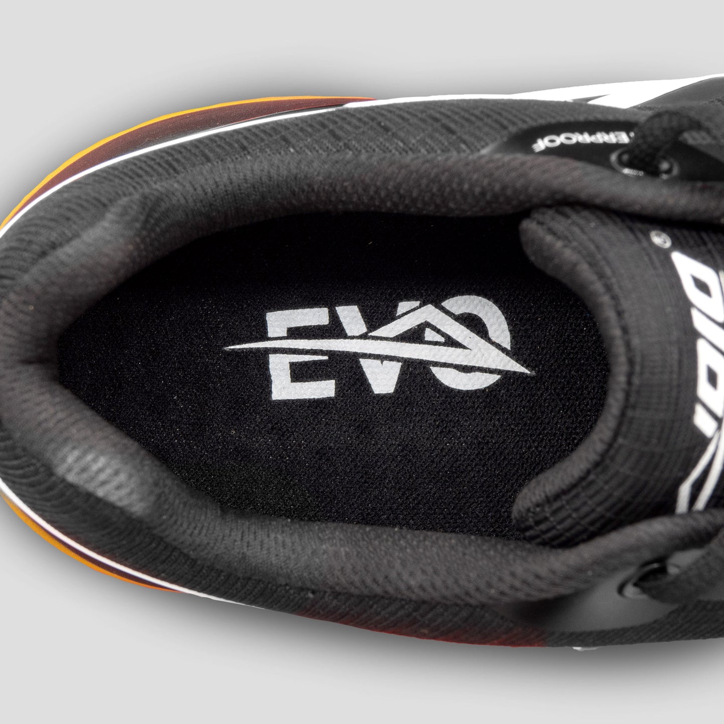 2025 Syncrasy EVO