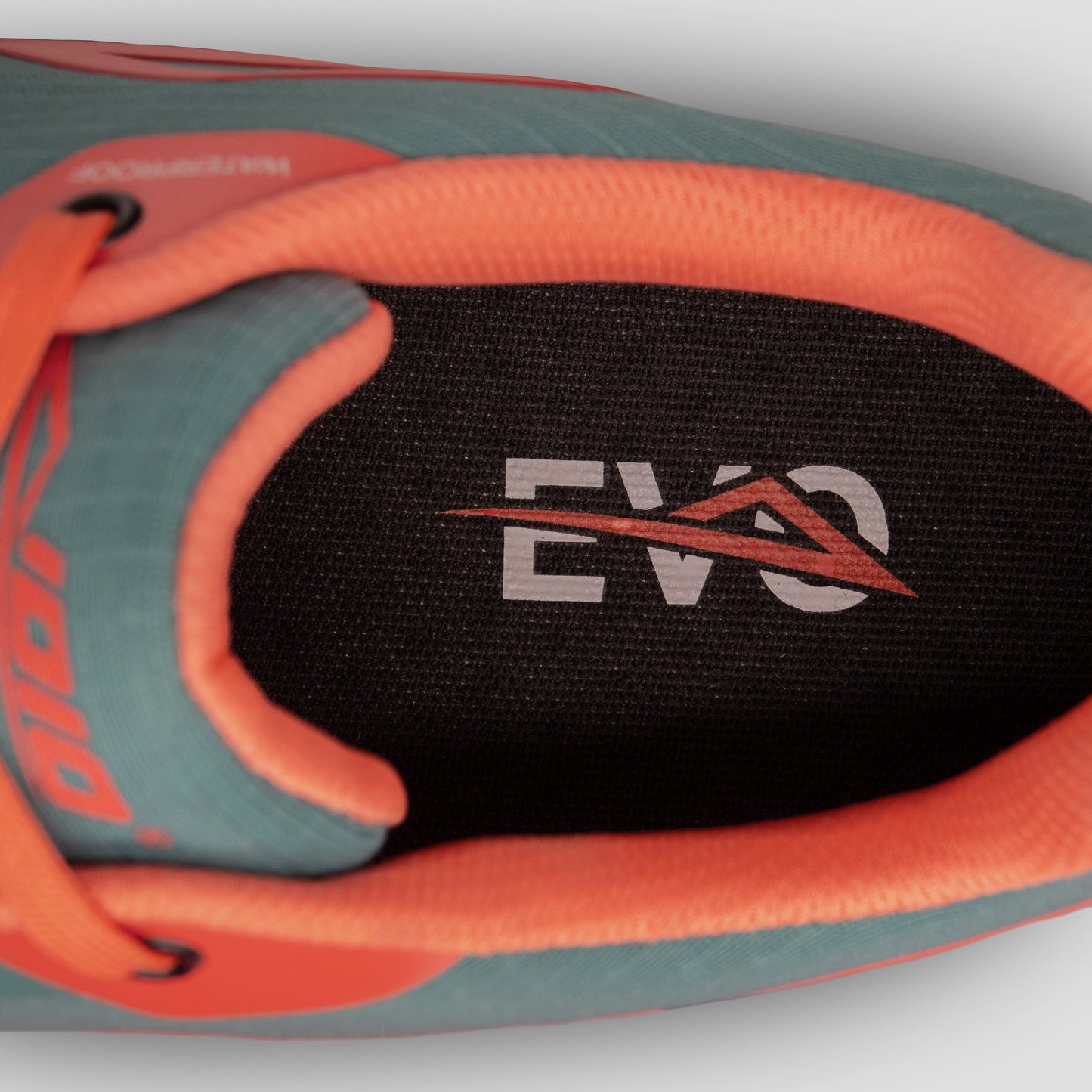 2025 Syncrasy EVO