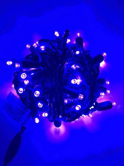 Minleon USA & Holiday Lighting Management 5mm LED Outdoor String Lights